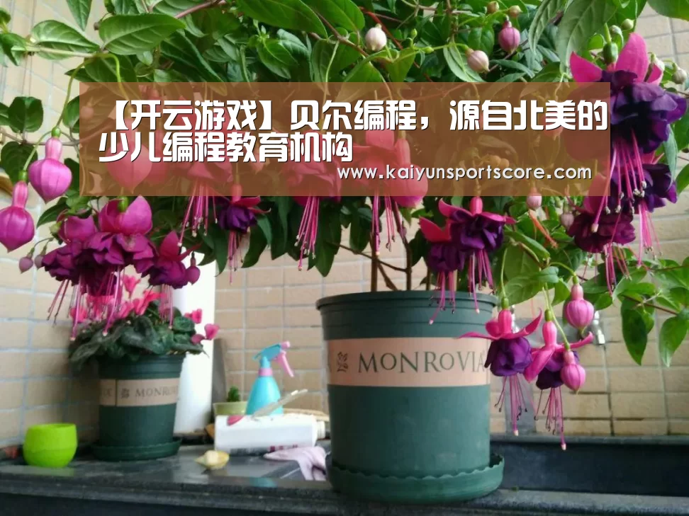 【开云游戏】贝尔编程,源自北美的少儿编程教育机构(图1) 开云游戏