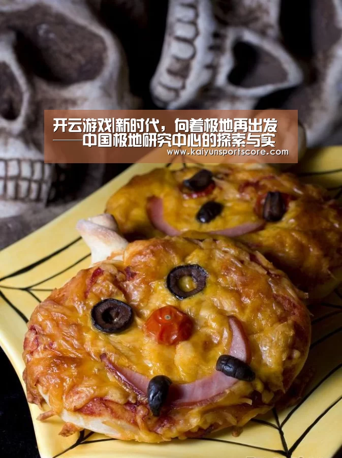 开云游戏|新时代,向着极地再出发——中国极地研究中心的探索与实践(图1) 开云官网