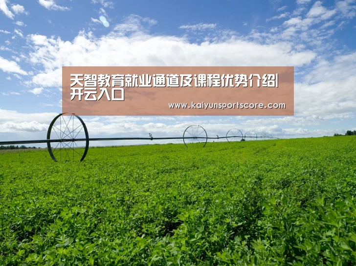 天智教育就业通道及课程优势介绍|开云入口(图1) 开云官网