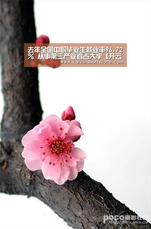 去年全国中职毕业生就业率96.72% 从事第三产业者占大半【开云官网】(图2) 开云官网