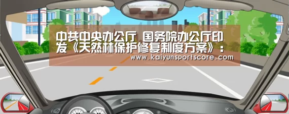 开云游戏